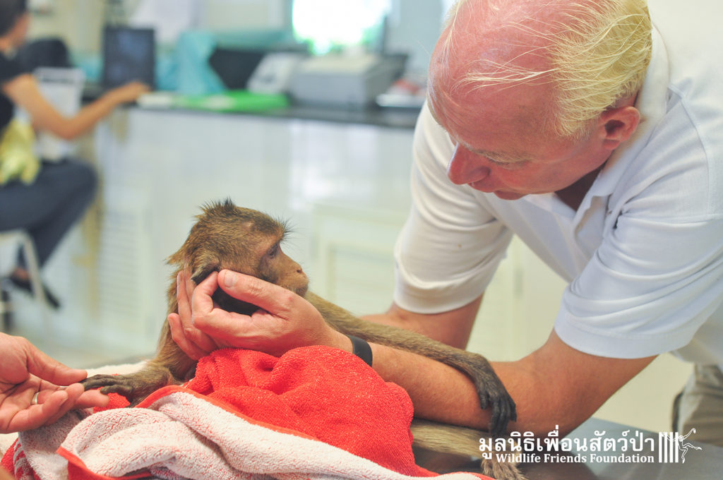 Macaque rescue Lham 260316 657